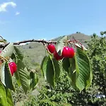 La Terra Dei Ciliegi Tra L'etna E Il Mare Di Taormina Villa