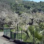 La Terra Dei Ciliegi Tra L'etna E Il Mare Di Taormina