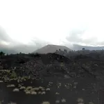 La Terra Dei Ciliegi Tra L'etna E Il Mare Di Taormina Piedimonte Etneo