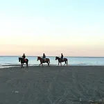 La Terra Dei Ciliegi Tra L'etna E Il Mare Di Taormina