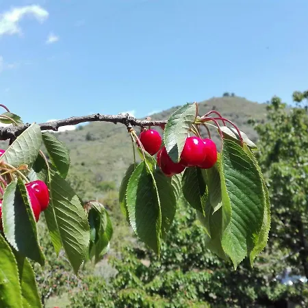 La Terra Dei Ciliegi Tra L'etna E Il Mare Di Taormina Villa